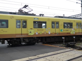 33s Pompompurin