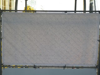 ���܂郋�[�v