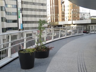 ���܂郋�[�v