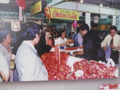 ���悤�Ȃ疼�S�S�ݓX