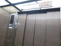 ���悤�Ȃ疼�S�S�ݓX